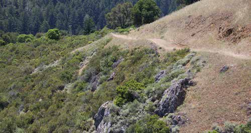 How to Explore the Santa Cruz Mountains