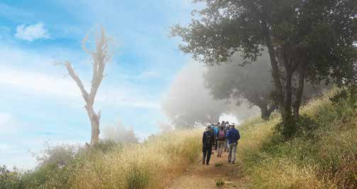 How to Explore the Santa Cruz Mountains