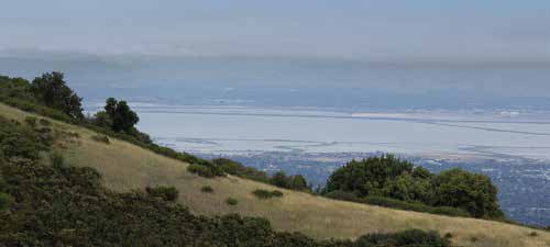 How to Explore the Santa Cruz Mountains