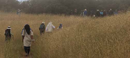 How to Explore the Santa Cruz Mountains