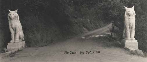 The Cats Estate: Charles E.S. Wood and