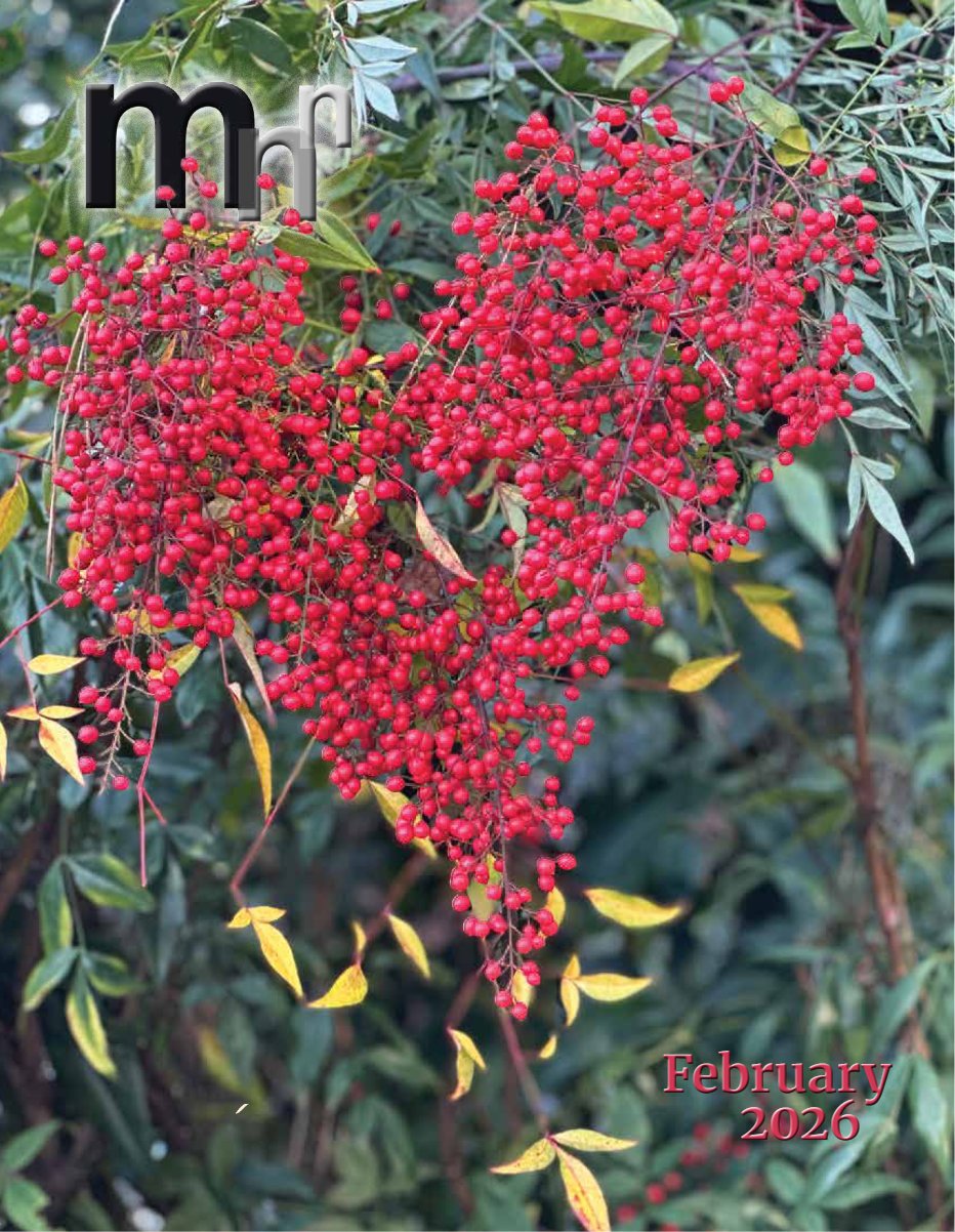 Cover of February 2026 · Volume MMXXVI, Number 2