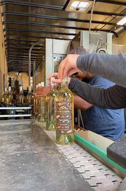 Bottling Season
